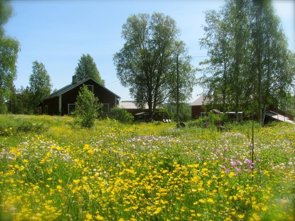 Maison d'hôtes Ellis Gården à Vemhån Extérieur photo